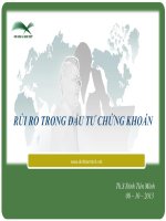 bài giảng rủi ro trong đầu tư chứng khoán - ths. đinh tiến minh