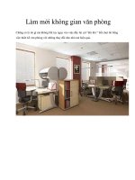 Làm mới không gian văn phòng pot