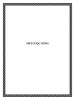 MÙI CUỘC SỐNG potx