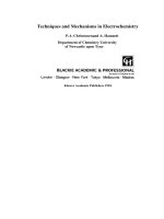 techniques and mechanisms in electrochemistry 1994 - hammett