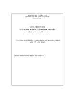 Vai trò của giá cả tài sản trong khuôn khổ lạm phát mục tiêu linh hoạt