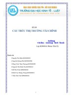 bài tập nhóm cấu trúc thị trường tài chính