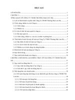 kế toán tiêu thụ và xác định kết quả kinh doanh tại công ty tnhh thương mại lưu hà