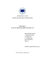 Tiểu luận: Tỷ suất sinh lợi trên vốn đầu tư