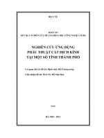 Nghiên cứu ứng dụng phẫu thuật cắt dịch kính tại một số tỉnh, thành phố