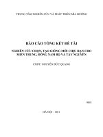 nghiên cứu chọn, tạo giống mới chịu hạn cho miền trung, đông nam bộ và tây nguyên