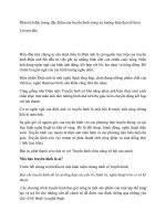 Phân tích đặc trưng đặc điểm của truyeen trong xu hướng hiện đại