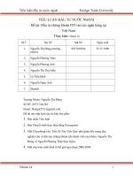 Tiểu luận Đầu tư chứng khoán FPI vào các ngân hàng tại VN