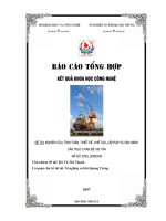 Nghiên cứu tính tóan thiết kế, chế tạo, lắp ráp và vận hành cần trục chân đế 180 tấn