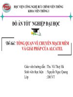 slide báo cáo tổng quan về chuyển mạch mềm và giải pháp của alcatel