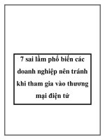 7 sai lầm phổ biến các doanh nghiệp nên tránh khi tham gia vào thương mại điện tử pdf