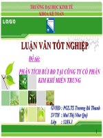 slide báo cáo luận văn phân tích rủi ro tại công ty cổ phần kim khí miền trung