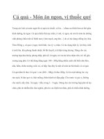 Cá quả - Món ăn ngon, vị thuốc quý potx