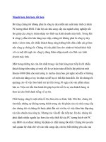 Nhanh hơn, lớn hơn, tốt hơn pdf