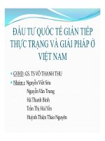thuyết trình đầu tư quốc tế gián tiếp, thực trạng và giải pháp ở việt nam