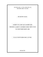 'Nghiên cứu chế tạo cảm biến khí monoxit cacbon và hydrocacbon trên cơ sở vật liệu perovskite ABO3