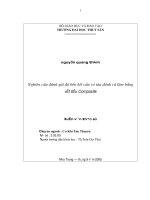 Đề tài  nghiên cứu đánh giá độ bền kết cấu vỏ tàu đánh cá làm bằng vật liệu composite