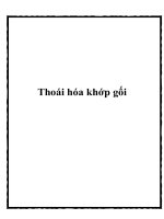 Thoái hóa khớp gối pot