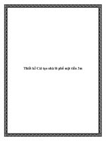 Thiết kế Cải tạo nhà lô phố mặt tiền 3m ppt