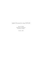 Applied Econometrics Using Matlab