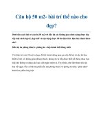 Căn hộ 50 m2- bài trí thế nào cho đẹp? pot