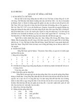 Sơ lược tiếng và chữ Ê Đê