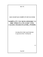 Nghiên cứu tác dụng sinh học và độc tính của cây lược vàng callisia fragans (lindl) woods