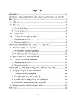 Tiểu luận về đô la hoá