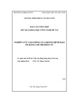 nghiên cứu tạo giống lúa kháng bệnh đạo ôn bằng chỉ thị phân tử