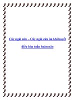 Cây ngải cứu – Cây ngải cứu ôn khí huyết điều hòa tuần hoàn não pdf