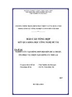 nghiên cứu tạo dòng đơn bội kép (dưa chuột, ớt) phục vụ chọn tạo giống ưu thế lai