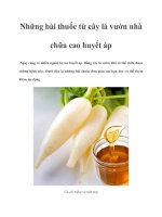 Những bài thuốc từ cây lá vườn nhà chữa cao huyết áp ppt