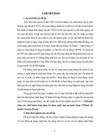 Giải pháp nâng cao chất lượng hoạt động tín dụng ngắn hạn tại ngân hàng VPBank chi nhánh Chương Dương ”