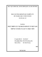 Phát triển các tập đoàn kinh tế ở việt nam   những vấn đề lý luận và thực tiễn