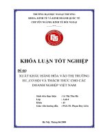 Xuất khẩu hàng hóa vào thị trường EU - Cơ hội và thách thức cho các doanh nghiệp Việt Nam