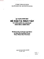 - nghiên cứu tài nguyên đa dạng sinh học và đề xuất một số giải pháp bảo vệ, phát triển bền vững vườn quốc gia bạch mã - đa dạng sinh học hệ nấm và thực vật vườn quốc gia bạch mã