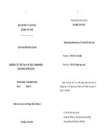 Luận văn:Nghiên cứu chế tạo vật liệu composite trấu/polyethylene ppt