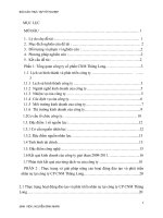 Nguyễn đình nhân thực trạng và giải pháp nâng cao hiệu quả hoạt động đào tạo và phát triển nhân sự tại công ty cổ phần công nghệ mới thăng long