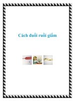 Cách đuổi ruồi giấm doc