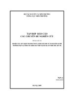 Nghiên cứu, xây dựng phương pháp lượng giá kinh tế tài nguyên và môi trường phục vụ công tác đánh giá thiệt hại do sự cố tràn dầu gây ra   các chuyên đề nghiên cứu