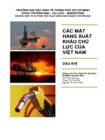 tiểu luận các mặt hàng xuất khẩu chủ lực của việt nam dầu khí