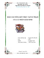 BÁO CÁO TỔNG KẾT THỰC TẬP SƯ PHẠM CUỐI KHÓA CỦA GIÁO SINH