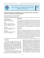 PHÂN TÍCH HIỆU QUẢ CHI PHÍ CHO CÁC HỘ NUÔI TÔM THẺ CHÂN TRẮNG TẠI THỊ XÃ NINH HÒA, TỈNH KHÁNH HÒA docx