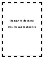 Ba nguyên tắc phong thủy cho căn hộ chung cư pot