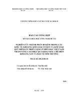 Nghiên cứu thành phần đi kèm trong các kiểu tụ khoáng kim loại quý hiếm có triển vọng ở miền bắc việt nam nhằm nâng cao hiệu quả khai thác chế biến khoáng sản và bảo vệ môi trường