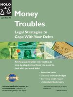 money troubles, legal strategies to cope with your debts 9th (2003)