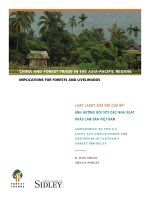 Luật Lacey sửa đổi ảnh hưởng đến các nhà xuất khẩu lâm sản Việt nam