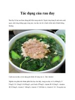 Tác dụng của rau đay doc