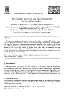 breman and subrahmanyam-investment analysis and price formation in securities markets