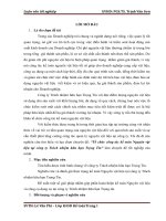 Tổ chức công tác kế toán Nguyên vật liệu tại công ty Trách nhiệm hữu hạn Trọng Tín